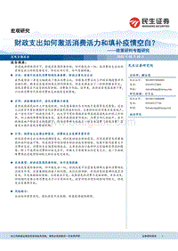 政策研判专题研究：财政支出如何激活消费活力和填补疫情空白？.pdf