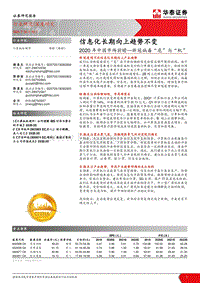 2020年中国市场前瞻：新冠病毒“危”与“机”：信息化长期向上趋势不变.pdf