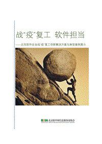北京软件企业战“疫”复工创新解决方案与典型案例展示.pdf