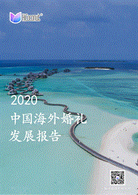 2020中国海外婚礼发展报告.pdf