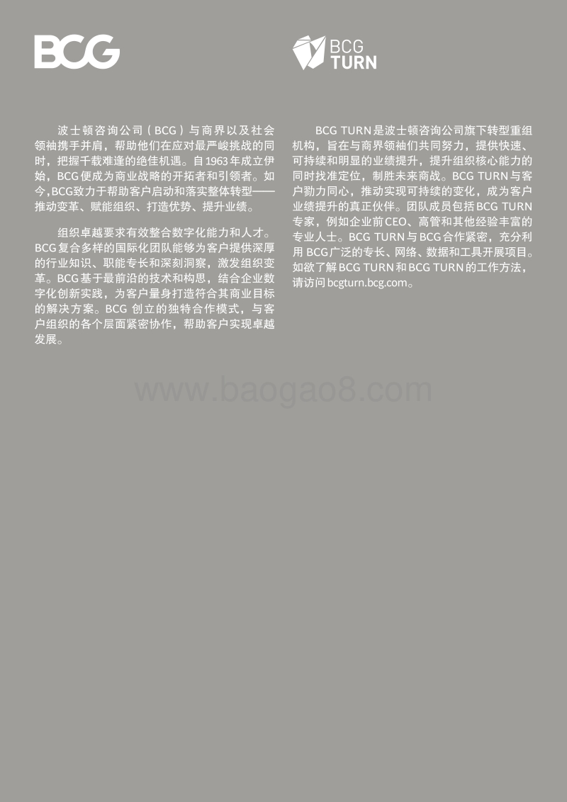 快速提升业绩的十大数字化举措.pdf_第2页