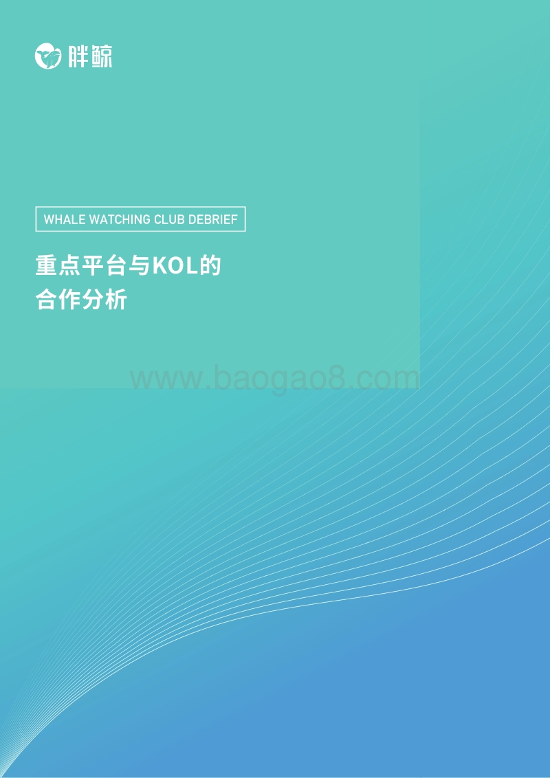 重点平台与KOL的合作分析.pdf_第1页
