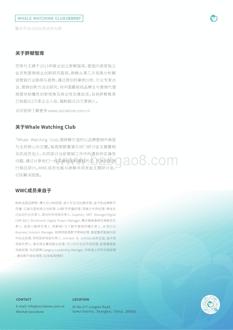 重点平台与KOL的合作分析.pdf_第2页
