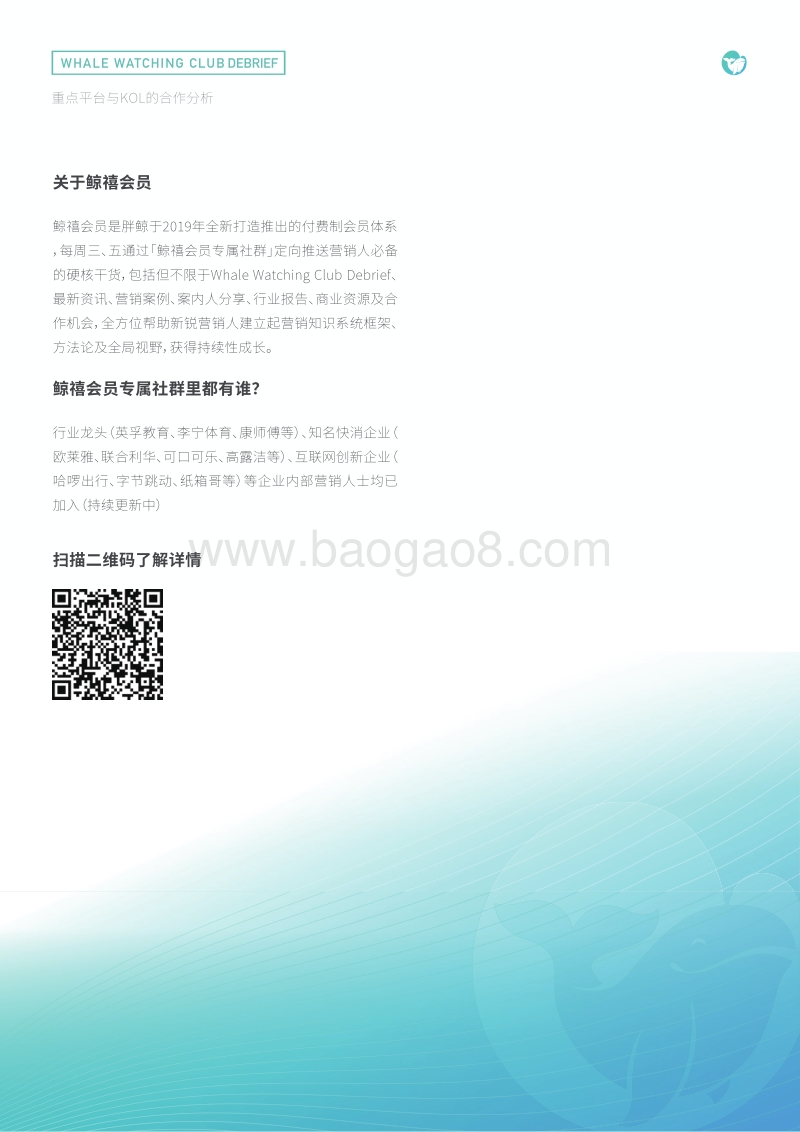 重点平台与KOL的合作分析.pdf_第3页