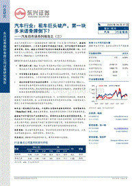 汽车后市场系列报告之（三）：汽车行业：租车巨头破产，第一块多米诺骨牌倒下？.pdf