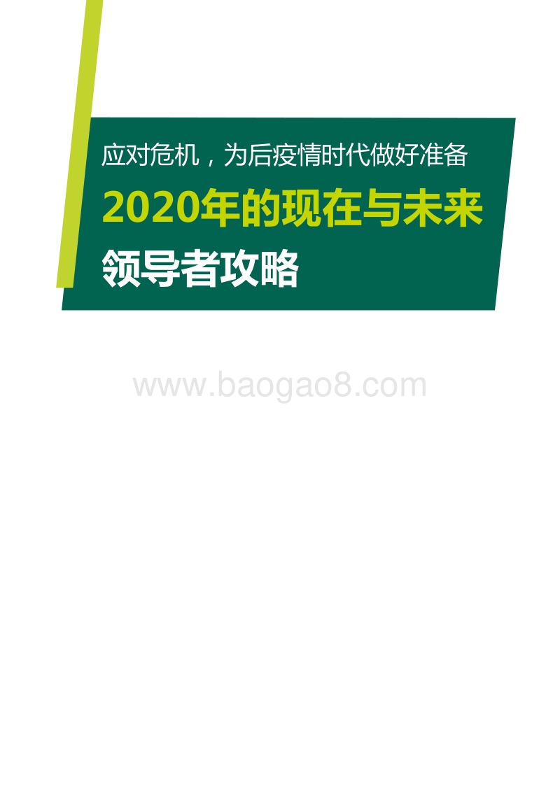 2020年的现在与未来：领导者攻略.pdf_第1页