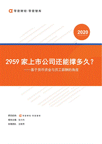 2959家上市公司还能撑多久？基于货币资金与员工薪酬的角度.pdf