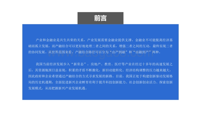 2020年中国政府产融结合招商新模式发展战略研究报告.pdf_第2页