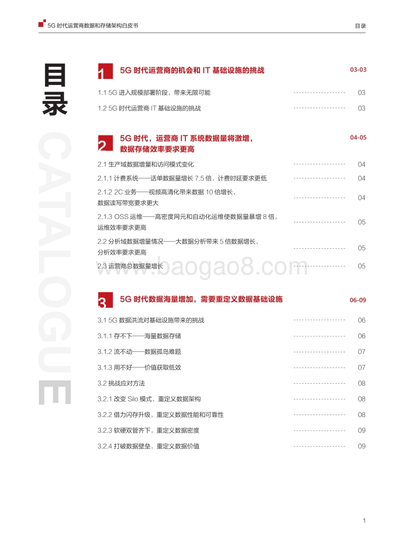 5G时代运营商数据和存储架构白皮书.pdf_第2页