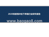 2020双疫情冲击下养殖行业研究报告.pptx