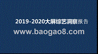 2019-2020大屏综艺洞察报告.pptx