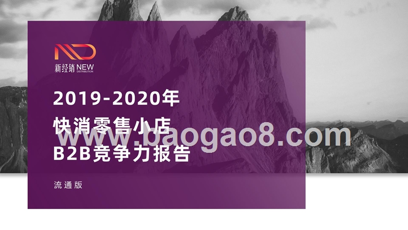 2019-2020年快消零售小店B2B竞争力报告.pptx_第1页