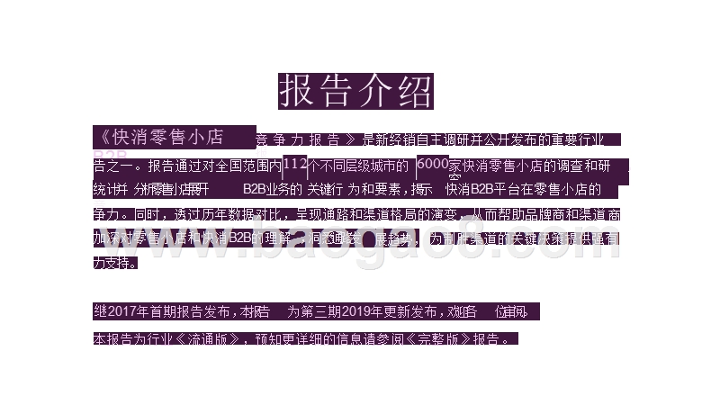 2019-2020年快消零售小店B2B竞争力报告.pptx_第2页
