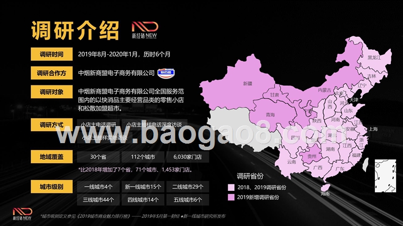 2019-2020年快消零售小店B2B竞争力报告.pptx_第4页