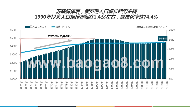 2019-2020年俄罗斯互联网发展研究报告.pptx_第4页