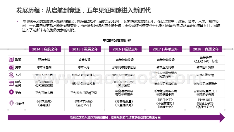 2018-2020中国网络综艺市场研究报告.pptx_第5页