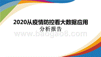 2020从疫情防控看大数据应用分析报告.pptx