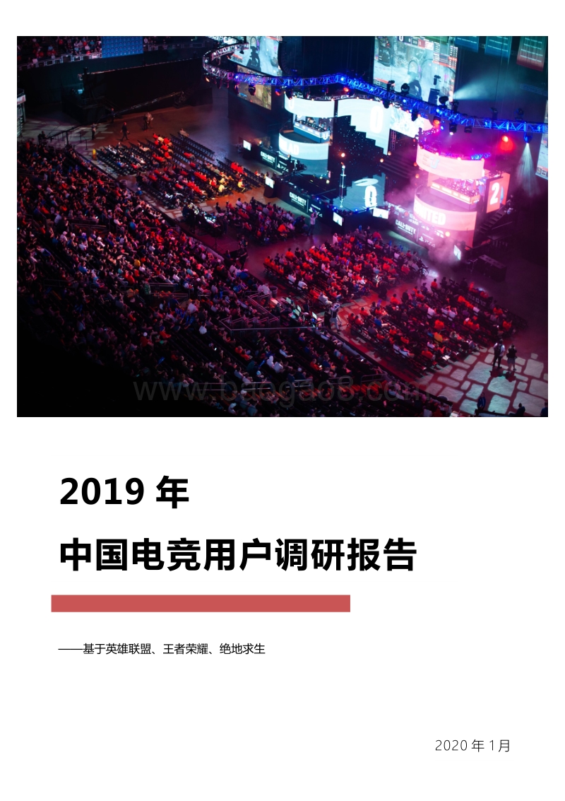 2019年中国电竞用户调研报告.pdf_第1页