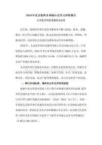 2019年北京软件企业核心竞争力评价报告.pdf