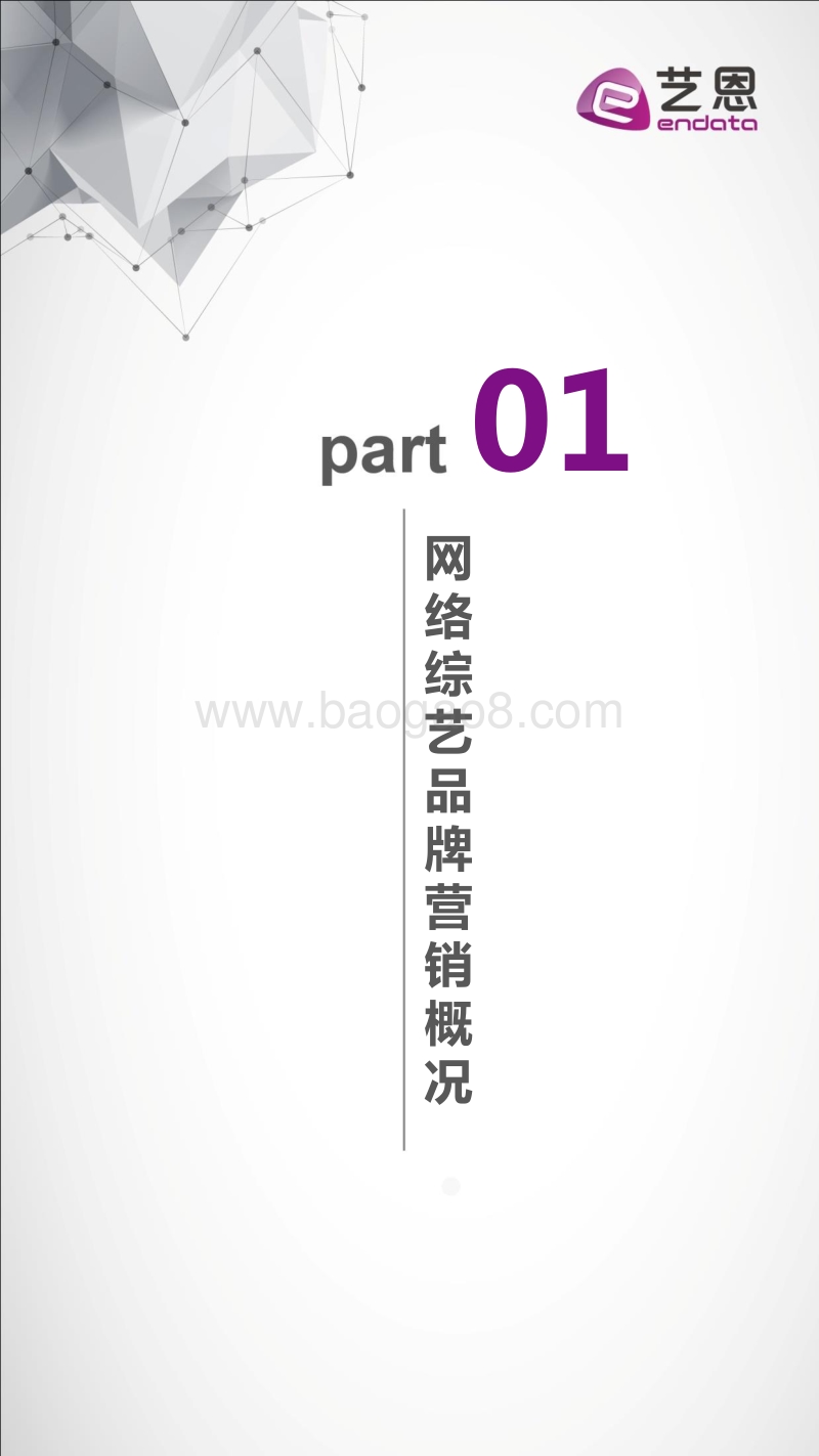 2020年1-5月网络综艺品牌营销报告.pdf_第4页