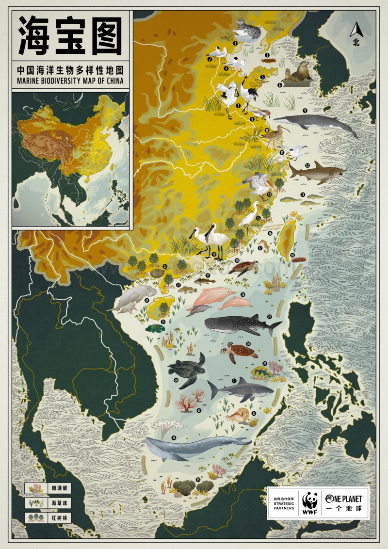中国海洋生物多样性地图.pdf_第1页