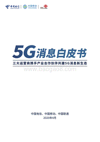 5G消息白皮书.pdf