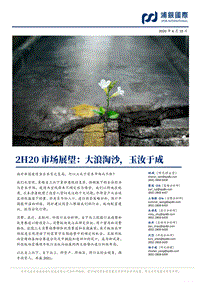 2H20市场展望：大浪淘沙，玉汝于成.pdf