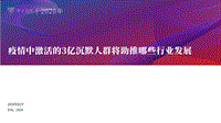 疫情中激活的3亿沉默人群将助推哪些行业发展.pdf