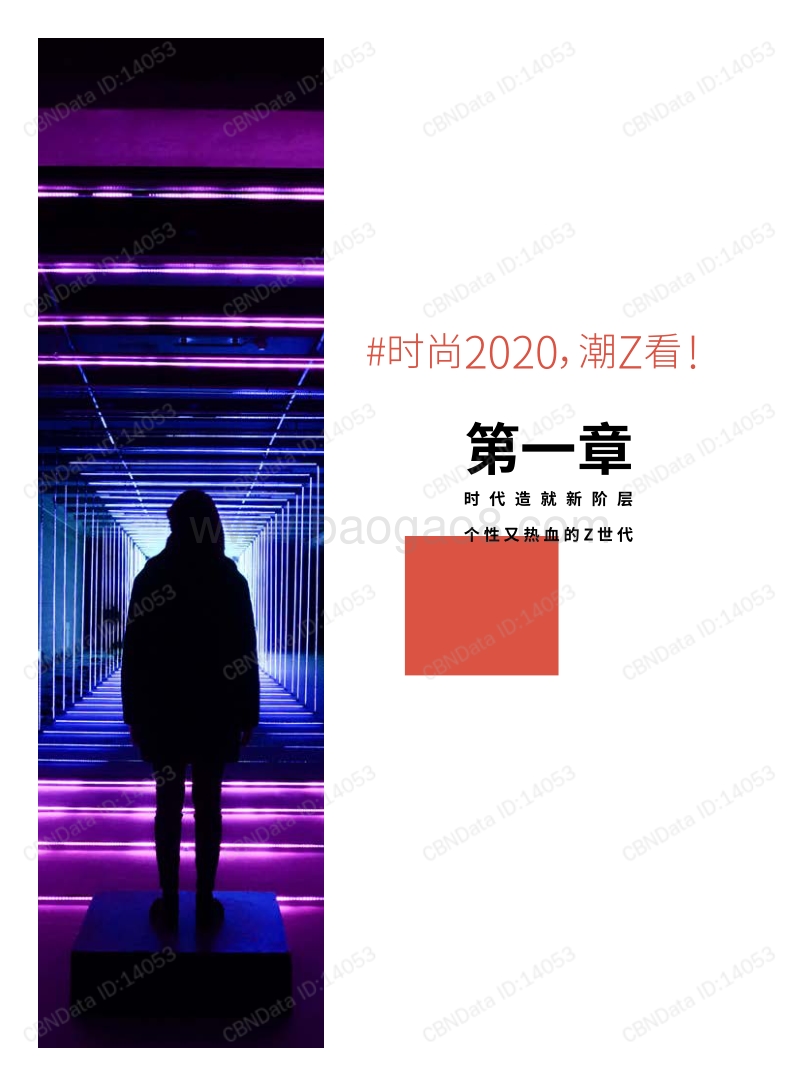 Z世代时尚消费洞察报告：时尚2020，潮Z看！.pdf_第3页