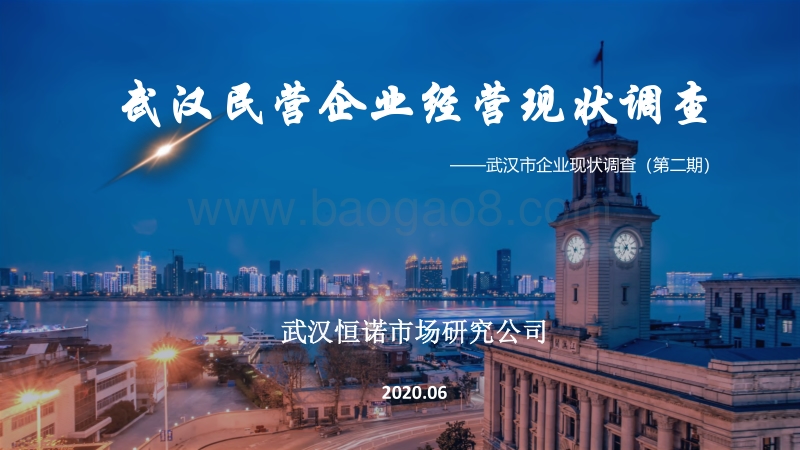 武汉市企业现状调查（第二期）：武汉民营企业经营现状调查.pdf_第1页