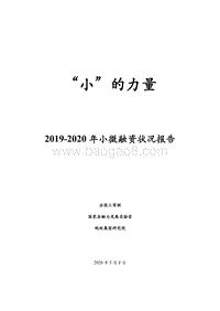 2019-2020年小微融资状况报告.pdf