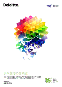 2020中国创投市场发展报告.pdf