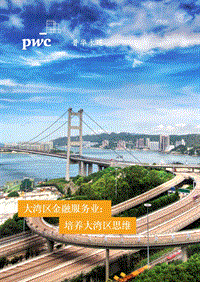 大湾区金融服务业：培养大湾区思维.pdf