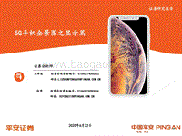5G手机全景图之显示篇.pdf