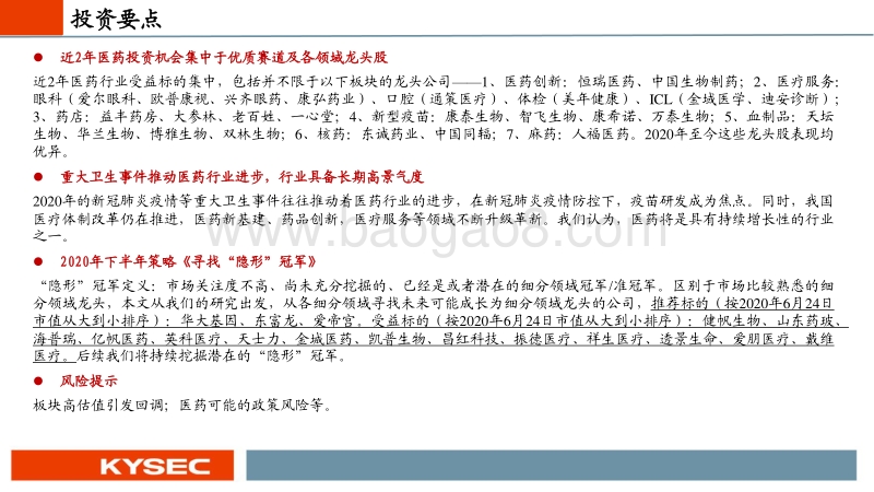 医药行业2020年中期投资策略：寻找“隐形”冠军.pdf_第2页