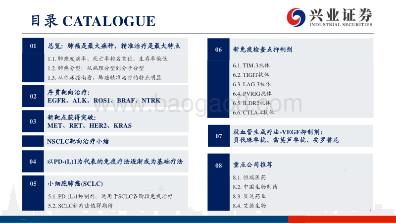从NCCN和CSCO指南看肺癌药物市场：肺癌：序贯靶向治疗是核心，免疫联合治疗是新常态.pdf_第3页