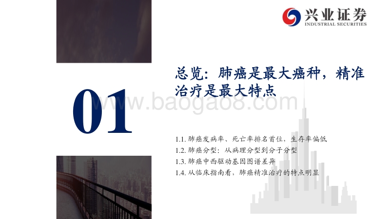 从NCCN和CSCO指南看肺癌药物市场：肺癌：序贯靶向治疗是核心，免疫联合治疗是新常态.pdf_第4页