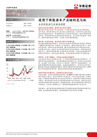 全球新能源汽车格局前瞻：疫情下新能源车产业链的危与机.pdf