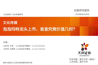 泡泡玛特龙头上市，盲盒究竟价值几何？.pdf