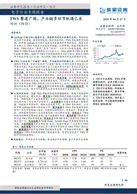 电子行业专题报告：TWS赛道广阔，产业链多环节机遇已至(1).pdf