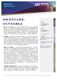 2H20医疗行业展望：分化中找长期机会.pdf