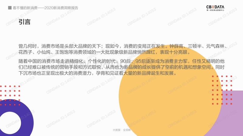 2020新消费洞察报告.pdf_第3页