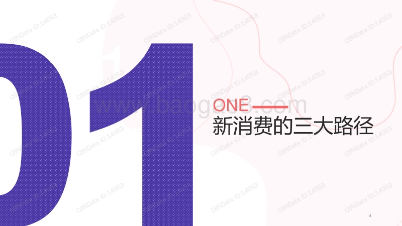 2020新消费洞察报告.pdf_第4页