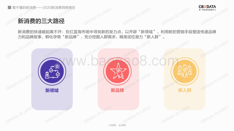 2020新消费洞察报告.pdf_第5页