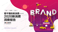 2020新消费洞察报告.pdf