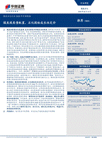 煤炭石化行业2020年中期策略：煤炭股类债配置，石化股给成长性定价.pdf