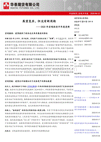 2020年宏观经济半年度更新：展望复苏，但没有新周期.pdf