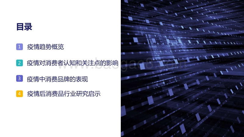疫情后快消品行业研究报告.pdf_第4页