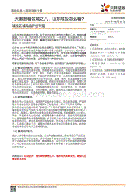 城投区域风险评估专题：大数据看区域之八：山东城投怎么看？.pdf