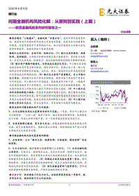 防范金融风险系列研究报告之一：问题金融机构风险化解：从原则到实践（上篇）.pdf
